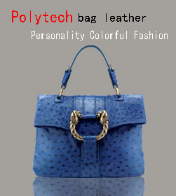 Polytech bag leather Personality Colorful Fashion